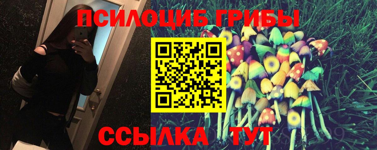 Псилоцибиновые грибы GOLDEN TEACHER Новоалександровск